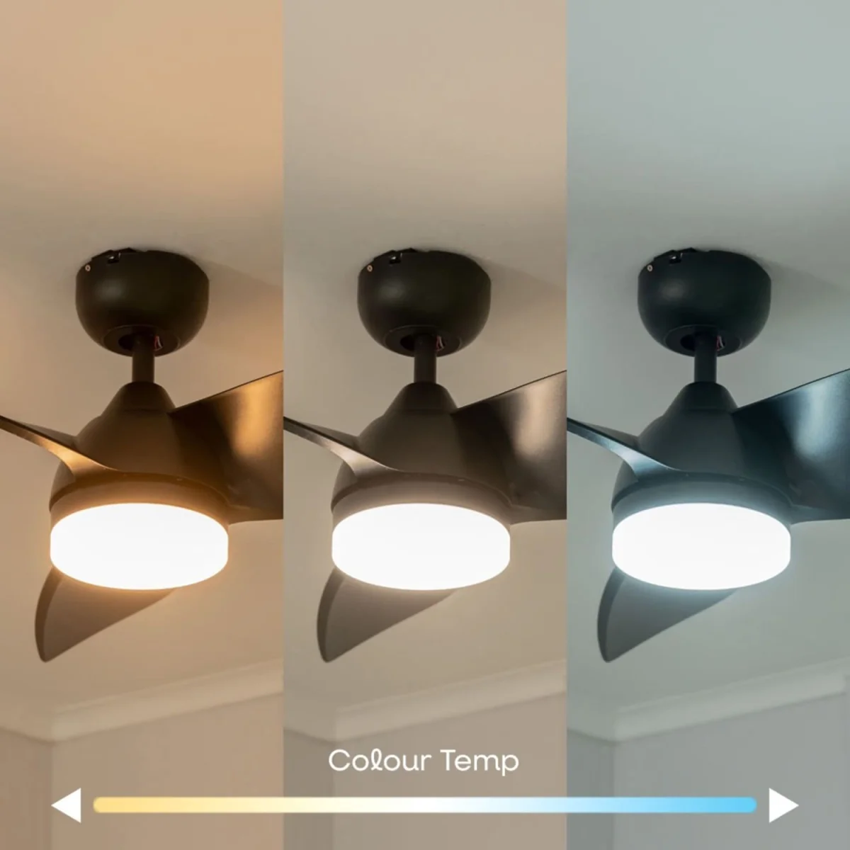 Matte Black 36" 3 Blade Ceiling Light Fan with Remote Control - Black – image 4