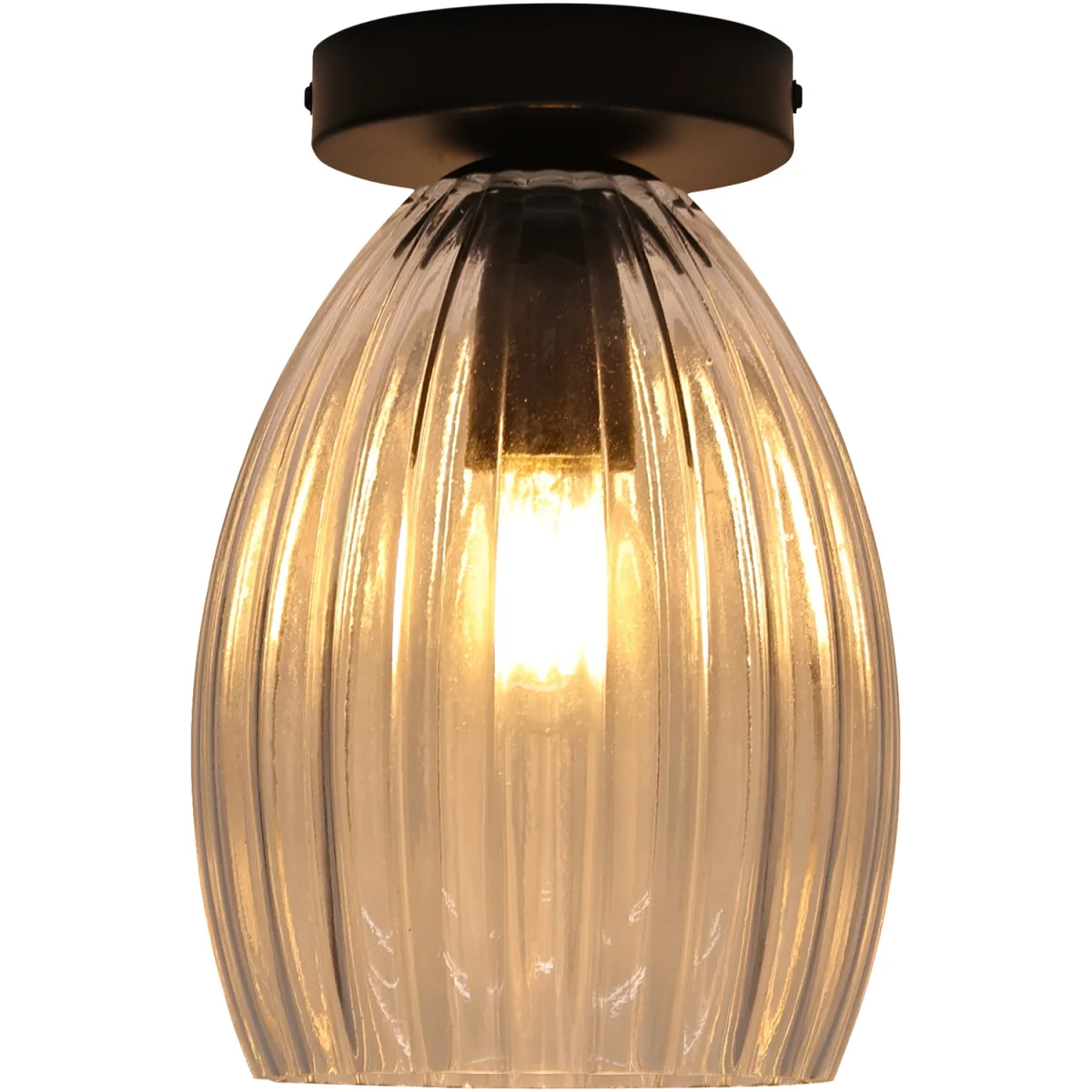 Birch Flush Ceiling Light - Clear Ribbed Glass With Black Detail – image 2