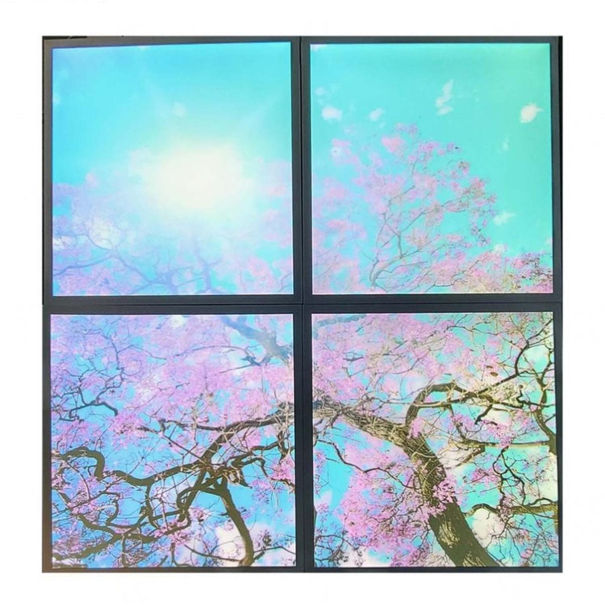 Set of 4, 40w 60x60 LED Sky Panels with Cherry Blossom Trees 2D Effect - Daylight