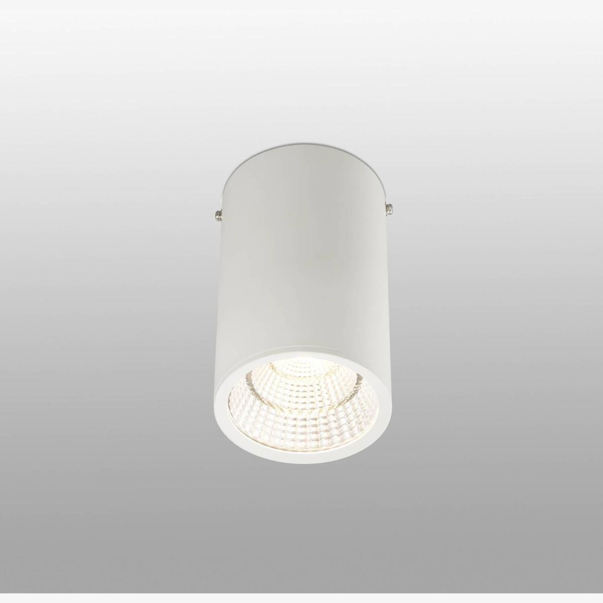 Rel LED 1 Light Round Surface Mounted Downlight White - White / 10cm