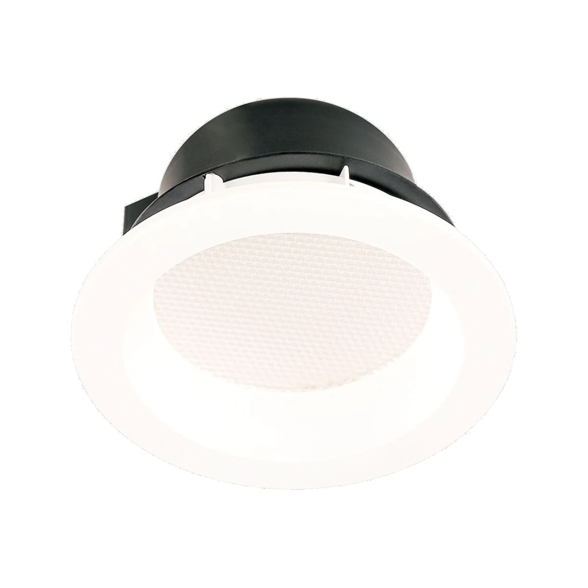 Damien Spotlight White - White