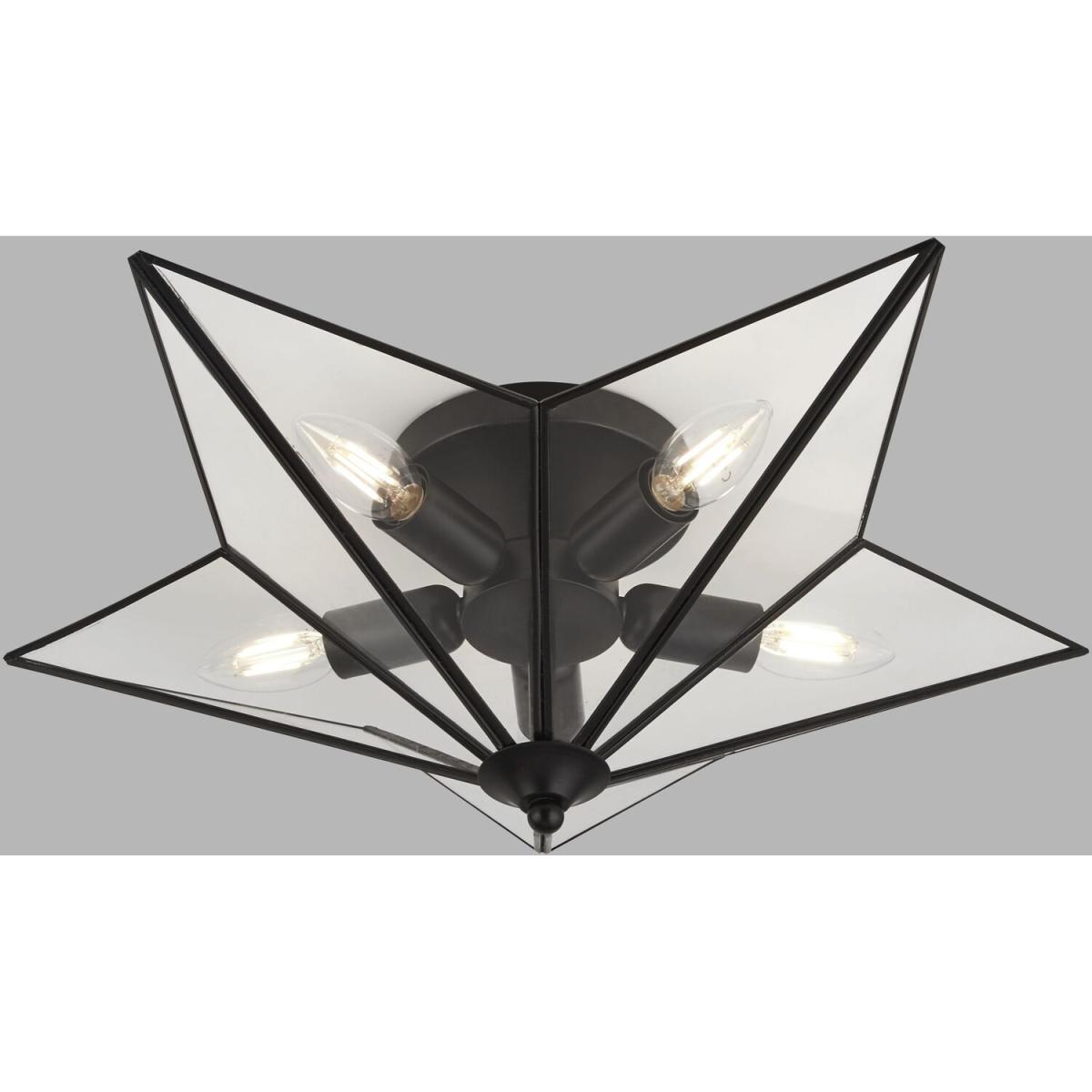 Sines Black 5Lt Flush - Black – image 2