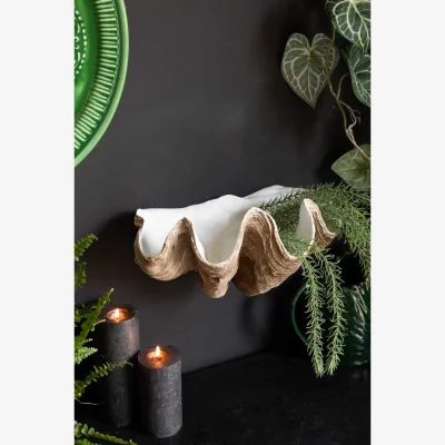 Rockett St George Clam Shell Wall Shelf