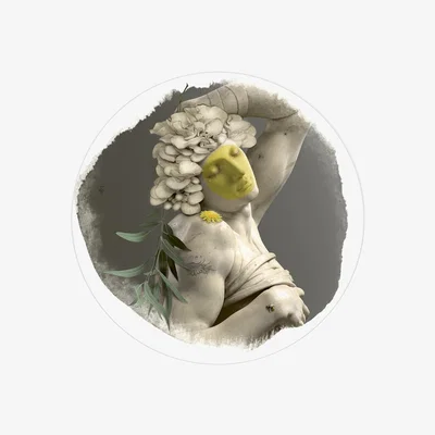 Amara ibride - Il Divino Plate Wall Light - Grey