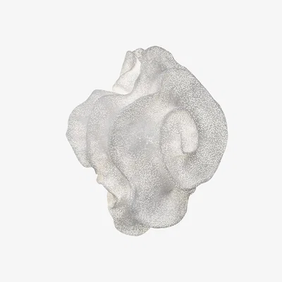 Amara A by Arturo Alvarez - Nevo Wall Light - White