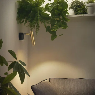 Amara Aromas - Maru Wall Lamp