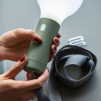 Heal's Aplo LED Portable Table and Wall Lamp Cactus