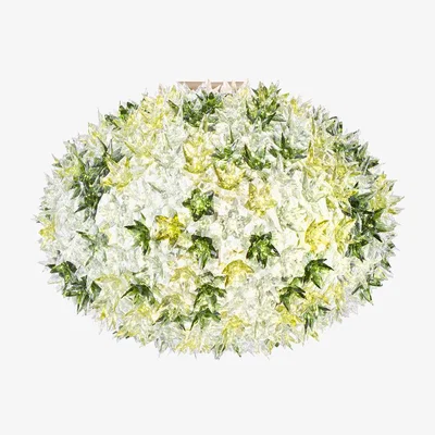 Made in Design Bloom Wall light by Kartell Green