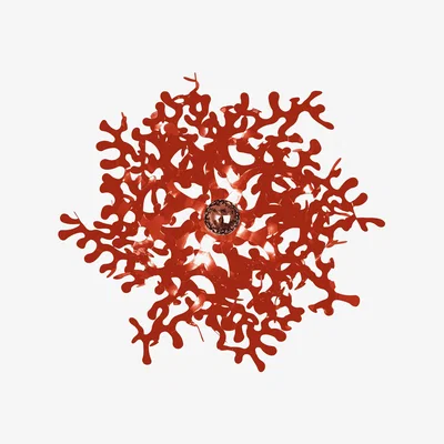 Made in Design Leaves Wall light - Ceiling light by Lumen Center Italia Red