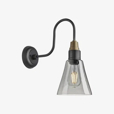 Olivia's Industville Swan Neck 6 Inch Flask Wall Light