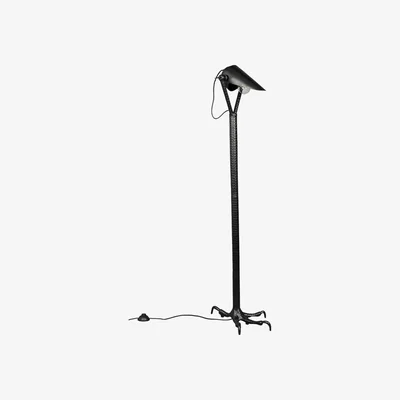 Cuckooland Dutchbone Falcon Floor Lamp in Black