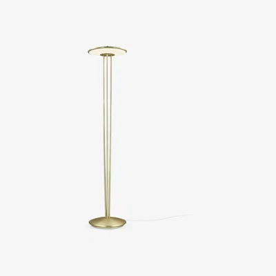 John Lewis Nordlux Blanche Floor Lamp, Brass/White