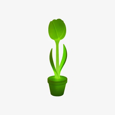 Made in Design Tulip Outdoor Floor lamp - H 150 cm - Outdoor by MyYour Green