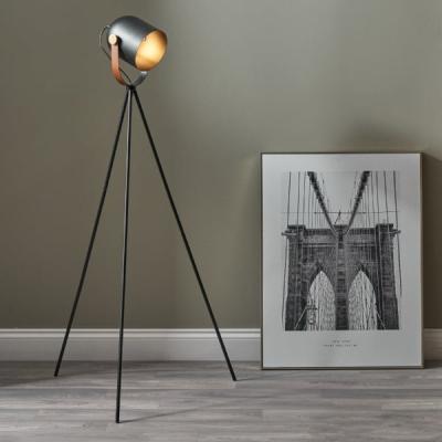 Pagazzi Auden Black Metal Tripod Floor Lamp