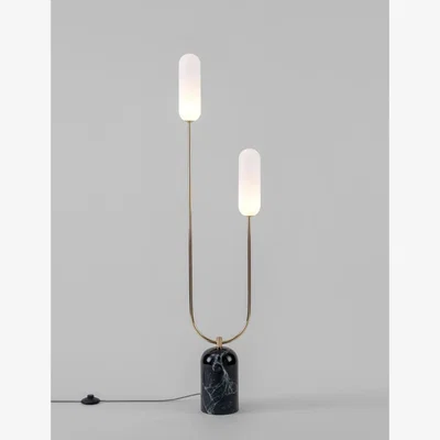 Rose & Grey houseof Curve Floor Lamp