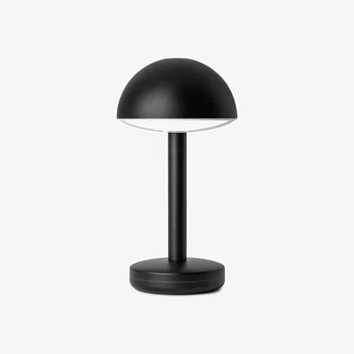 Amara Bug Table Lamp
