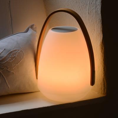 Dunelm Koble Neptune Bluetooth Speaker Lantern MultiColoured