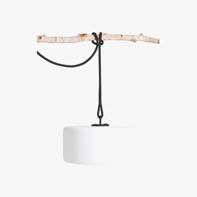Made in Design Thierry Le swinger LED Wireless lamp - / Included: hanging cable + wooden planter base by Fatboy White/Grey