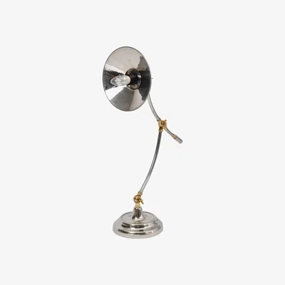 Olivia's Libra Haku Brass And Steel Adjustable Table Lamp