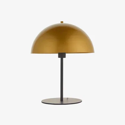 Perch and Parrow Benjamin Large Half Sphere Table Lamp in Gold