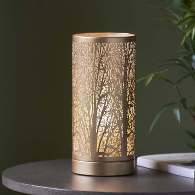 Pagazzi Mason Antique Brass Touch Table Lamp