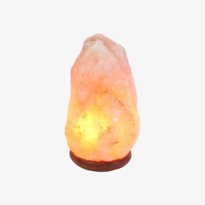 The Range 6-8kg Himalayan Natural Salt Lamp - Brown