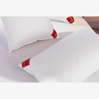 And So To Bed Brinkhaus Down Surround Pillow