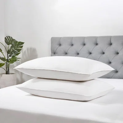 BHS.com All Natural Duck Feather & Down Pillows, Pair