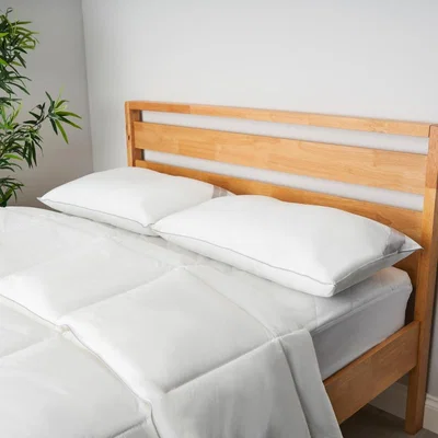 BHS.com Hotel Collection 5 Star Feels Like Down Pillows, Pair