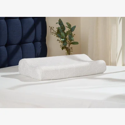 Dreams Hyde & Sleep Memory Contour Ice Pillow