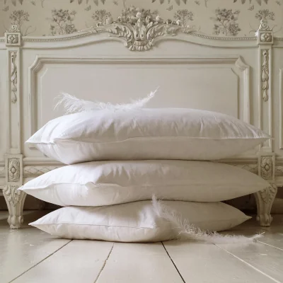 French Bedroom Goose Feather & Down Pillow
