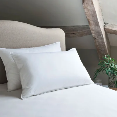 French Bedroom Pair of European Feather and Down Pillows