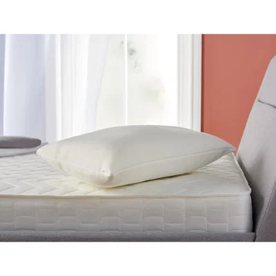 Habitat Habitat Memory Foam Shell Firm Pillow