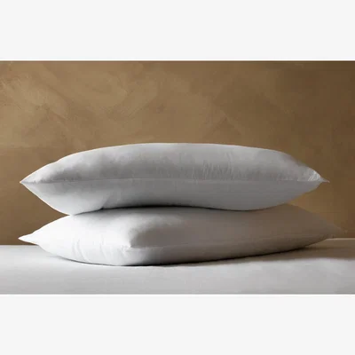 Habitat Habitat Consciously Cozy Medium Support Pillow Pair