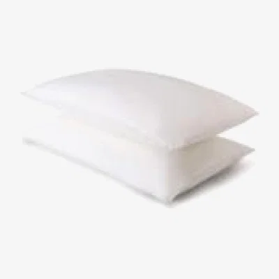 Knees The Fine Bedding Company Clusterfull Pairs Synthetic Pillow