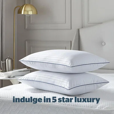 La Redoute Hotel Collection Pillow Pair