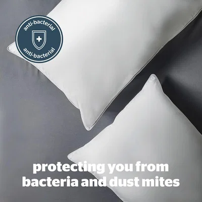 La Redoute Duck Feather and Down Anti Allergy Pillow Pair