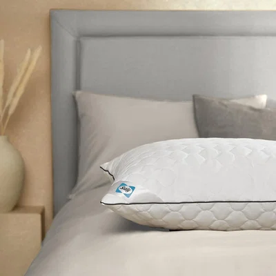 La Redoute Deeply Full Pillow