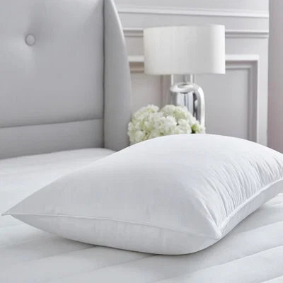 La Redoute Hungarian Goose Feather Down Pillow 74x48cm