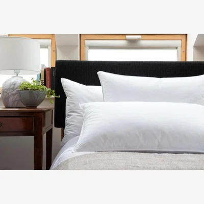 Downtown Lyndon Company Softened Duck Feather Pillow Pair In White