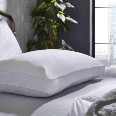 Downtown The Fine Bedding Company Back Sleeper Pillow In White
