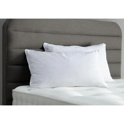 Perch and Parrow Olena Duck-Feather Pillow, Set of Two