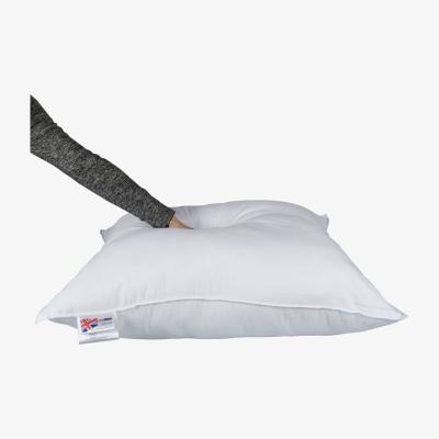 The Range Goose Feather  Down Euro Pillow - White