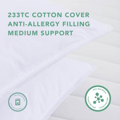 The Range Pure Cotton Anti Allergy Pillow Pair With Micro-Fresh - White