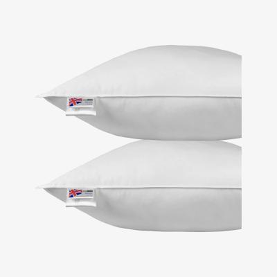 The Range Goose Feather Down Euro Pillow Pair - White