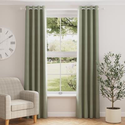 Dunelm Nyah Cotton Sage Eyelet Curtains Sage