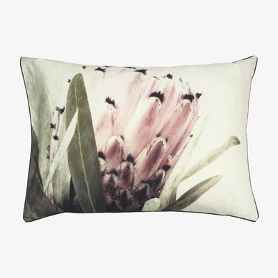 Dunelm Alice 100% Cotton Pillowcase Pair MultiColoured