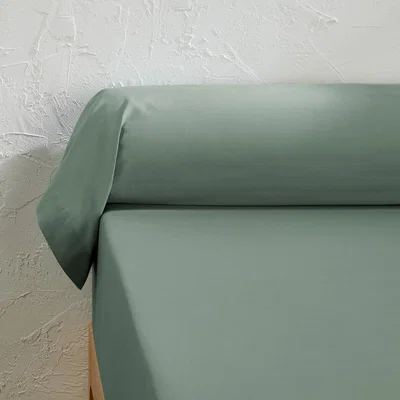 La Redoute Scenario Cotton Percale Bolster Pillowcase