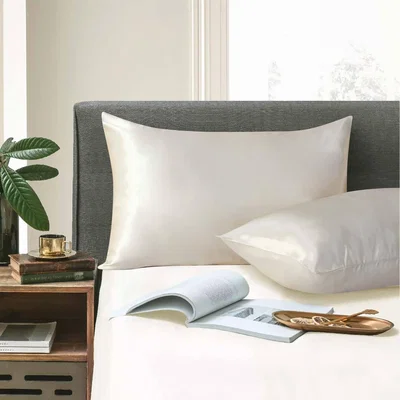 The Range Satin Pillowcase Pack of 2 Solid Colour Pillowcover - Beige