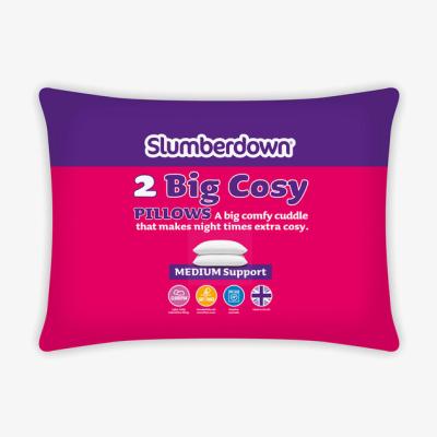 The Range Slumberdown Big Cosy Pillow Pair
